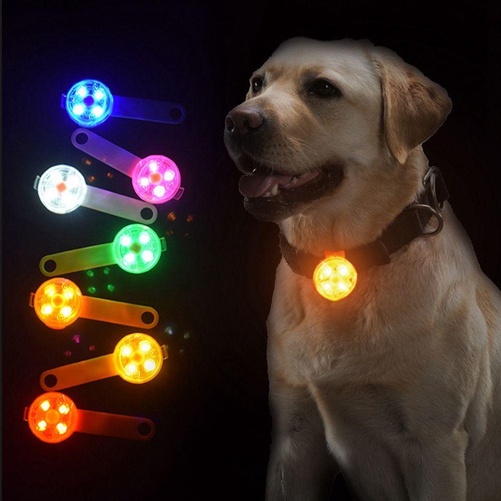 Vòng Cổ Thú Cưng Gắn Đèn LED Phát Quang Có Thể Sạc Lại Bằng Cổng USB
