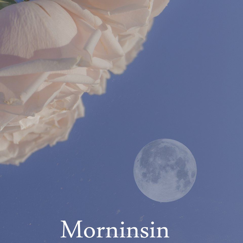 MorninSin.vn