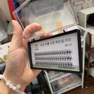 Mi chùm ( Hàn Quốc ) cong D