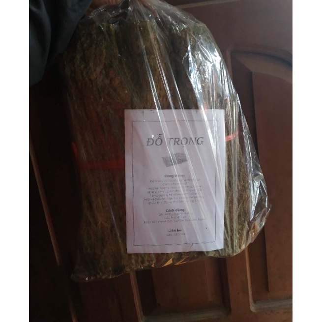 Đỗ trọng tây bắc