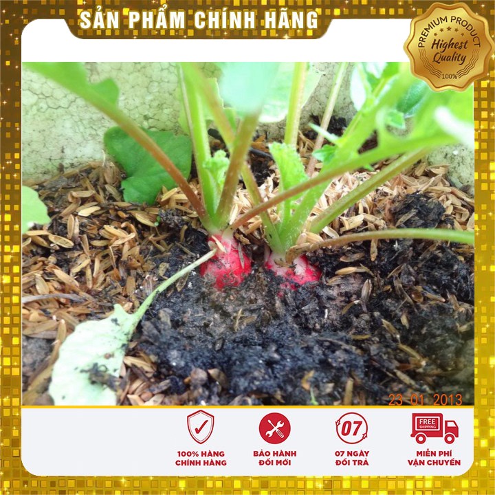 Hạt Giống Củ Cải Tròn Đỏ ( gói 5 gram)