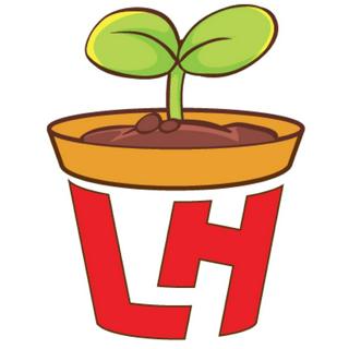 Chậu Nhựa Giá Sỉ (LH)