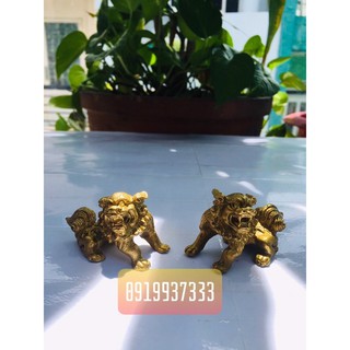 Cặp sư tử đồng nhí