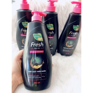 Gội bồ kết Fresh