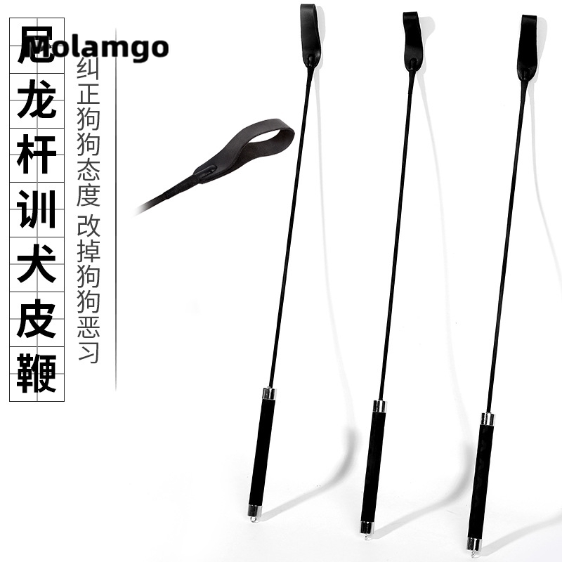 MOLAMGO  Gậy Huấn Luyện Thú Cưng Chuyên Dụng Tiện Lợi