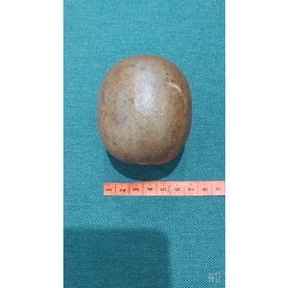 10  quả la hán 8cm