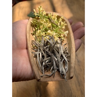 Bạch trà ướp quế hoa ( hoa mộc )