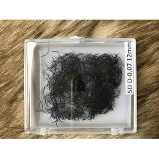 Mi fan sẵn 5d , giá 200k/hộp