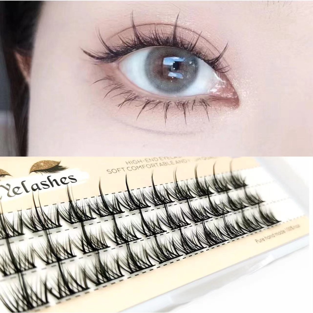 Lông Mi Giả Phong Cách Hàn Quốc Xinh Xắn