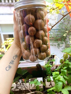 Macca đắc lắc 500gr