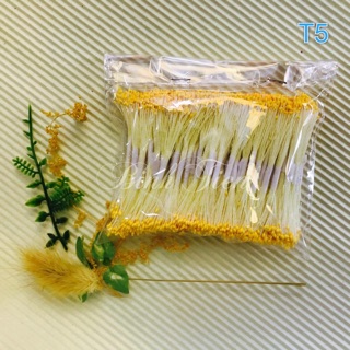 NHỤY BỘT TĂM VÀNG LÀM HOA MAI, HOA ĐÀO