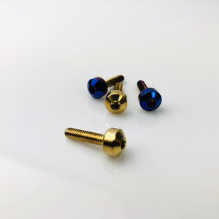 COMBO 2 Ốc gr5 gắn nắp bình dầu nhập khẩu thái lan dùng cho hầu hết các loại xe hiện nay xanh titan và vàng