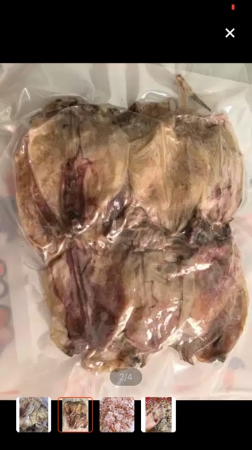 Combo 31 con MỰC KHÔ mini