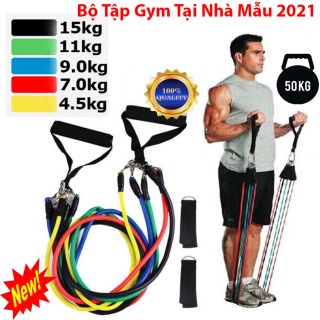 Dây Tập GYM Đa Năng 5 Màu