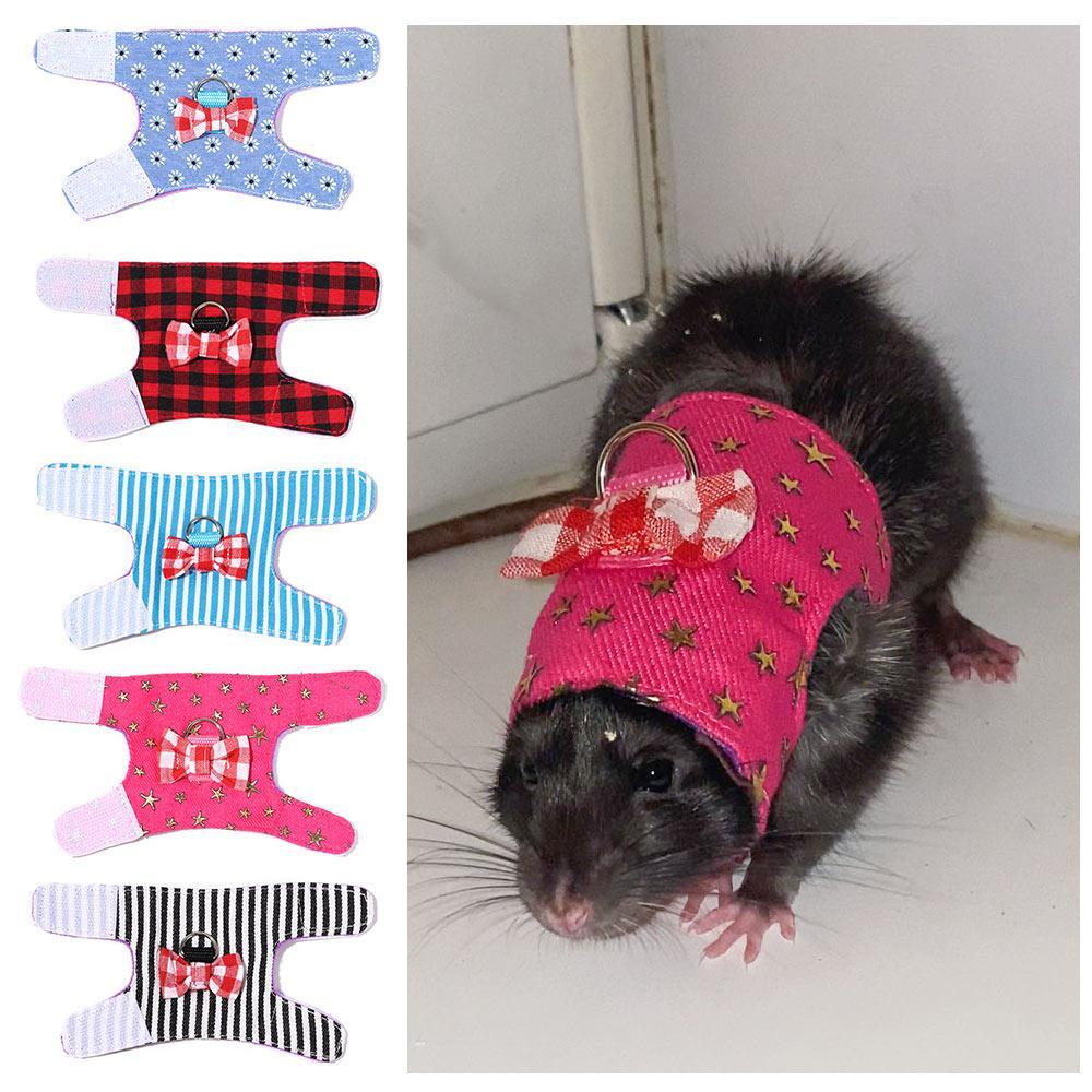Bộ Dây Dắt Chuột Hamster Đi Dạo Tiện Lợi