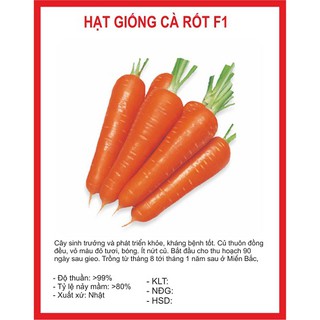 Hạt giống cà rốt chịu nhiệt Nhật Bản F1 - 1 gói