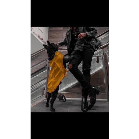 Quần Jean Đen Rách Gối To Phối Boots, Sneaker, Quần Jean Co Dãn