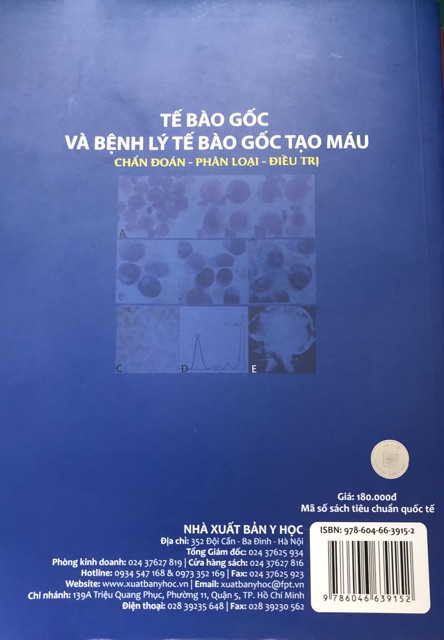 Sách - Tế bào gốc và bệnh lý tế bào gốc tạo máu Chẩn đoán - Phân loại - Điều trị