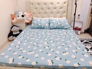 Bộ ga gối cotton polly (ảnh thật)