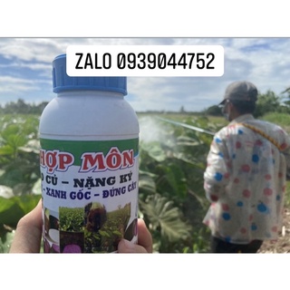 Siêu to củ khoai môn-hợp môn