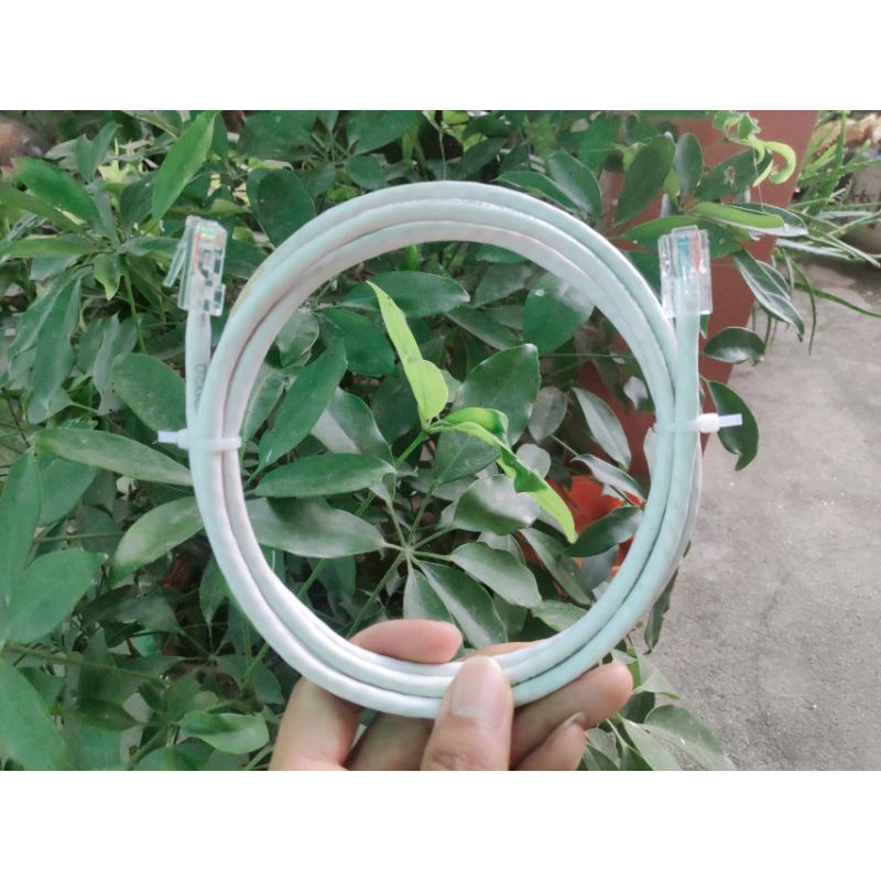 Dây mạng bấm sẵn 1m, 2m, 3m, 5m, 10m, 15m, 30m