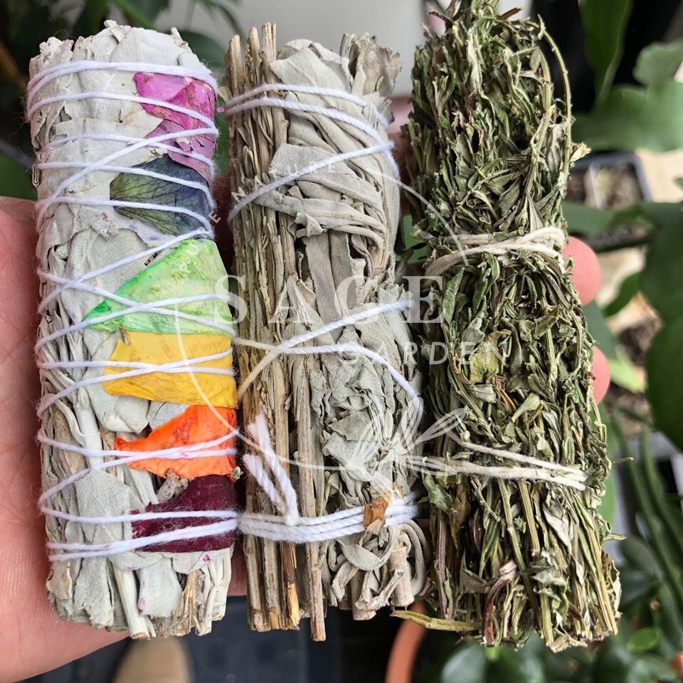 CHỮA LÀNH TÂM HỒN (Xô thơm trắng và Xô thơm xanh)_Size chuẩn 12cm_SAGE GARDEN | BigBuy360 - bigbuy360.vn