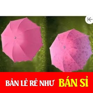 [GIÁ SỈ] Ô GẶP NƯỚC NỞ HOA - SIÊU ĐẸP SIÊU KUTE.