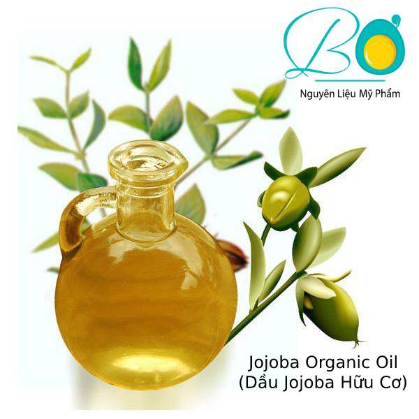 Dầu Jojoba Hữu Cơ (100% Organic Jojoba Oil)