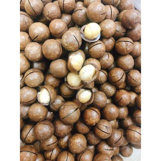 Hạt Macca Úc - Tốt Cho Sức Khỏe