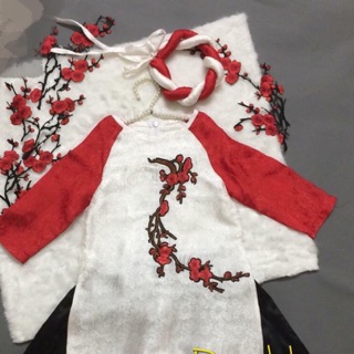 Áo dài bán buôn