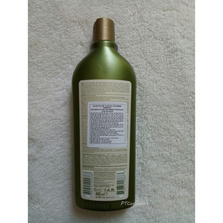 Dầu gội làm dày tóc Dalan dOlive Olive Oil Volumizing Shampoo