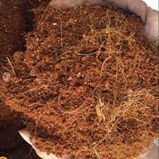 [CHUẨN TÂY BẮC] Bịch Mùn xơ dừa đã qua xử lý để trồng cây cảnh, rau, hoa Lan - NeyuhGarden