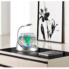 BỂ CÁ THỦY TINH TRÒN DỄ THƯƠNG JENECA TG 01