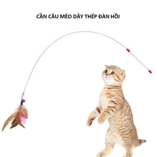 Cần câu mèo giúp mèo vận động vui chơi