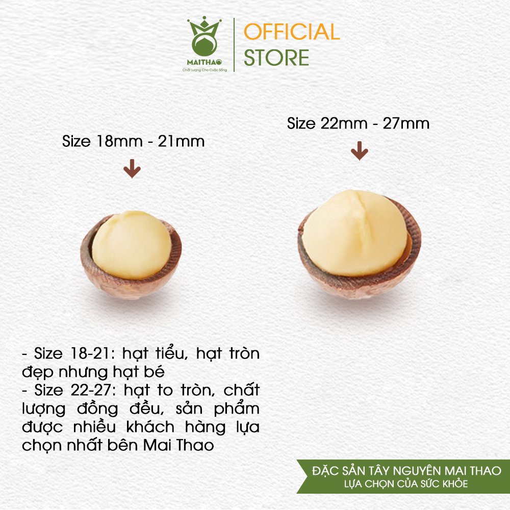 Hạt macca nứt vỏ Đà Lạt Mai Thao túi 500g nhiều size hạt, hạt mắc ca tách vỏ tặng kèm đồ khui đồ ăn vặt dinh dưỡng