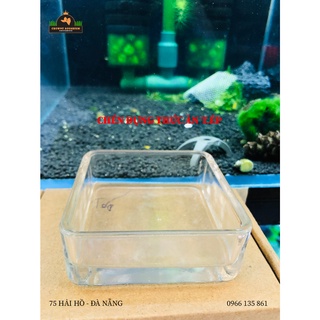 Chén thức ăn cho tép - đĩa vuông thủy tinh i chén vuông mica đựng thức ăn cho tép