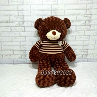 Gấu Teddy 1m2 áo len cao cấp