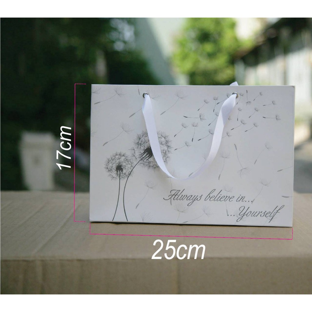 50 túi giấy quai ruy băng mẫu 19 đựng quà size 25x17x9cm