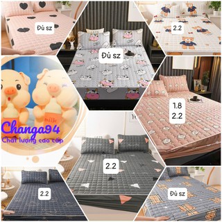 Bộ ga gối trần chun 3 lớp cotton 100% NHẬP KHẨU siêu đẹp, drap giường kích thước M6/M8/2M2