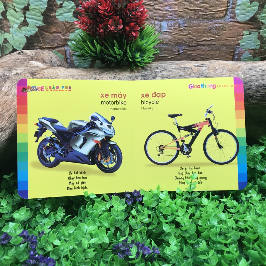 Sách: Combo Bé Khám Phá Môi Trường Xung Quanh Trọn Bộ