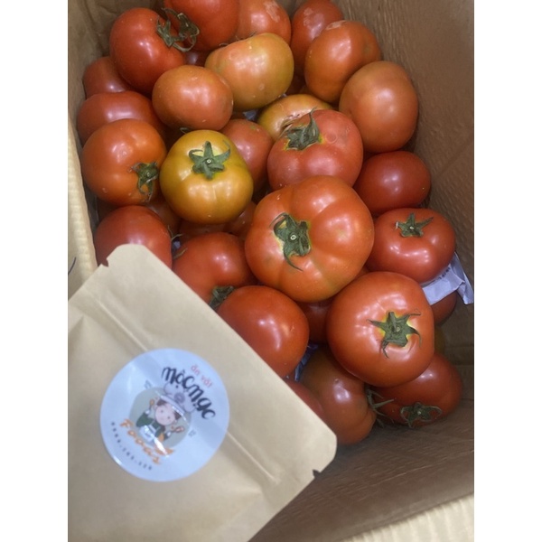 Rau củ quả Đà Lạt (500gr) Nội Thành HCM | BigBuy360 - bigbuy360.vn