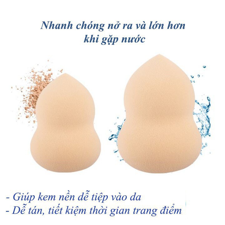 [GIÁ SỈ]  Mút trang điểm giọt nước  - Mút tán phấn cao cấp full hộp -  Chang Korea