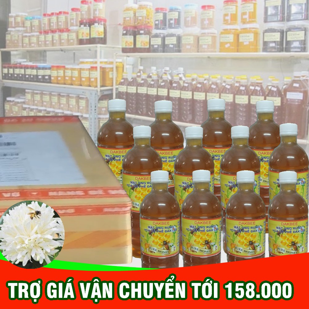 12 LÍT (12 CHAI) MẬT ONG RỪNG HOA CÀ PHÊ - GIÁ BÁN SỈ CAM KẾT CHẤT LƯỢNG, GIÁ ƯU ĐÃI KHÔNG QUA TRUNG GIAN - DAKBEE