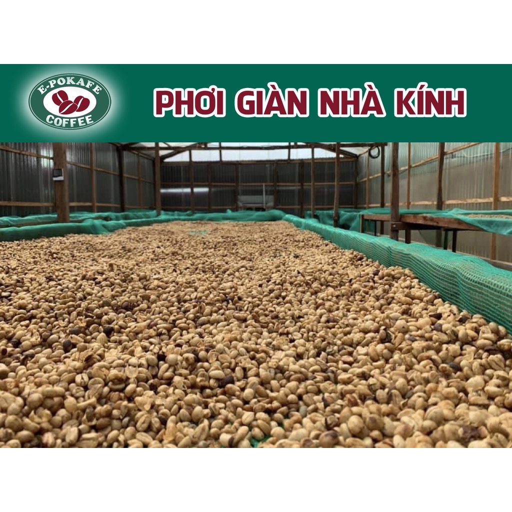 Robusta Honey Blend Arabica, cafe rang xay nguyên chất pha máy, pha phin từ E-POKAFE | BigBuy360 - bigbuy360.vn