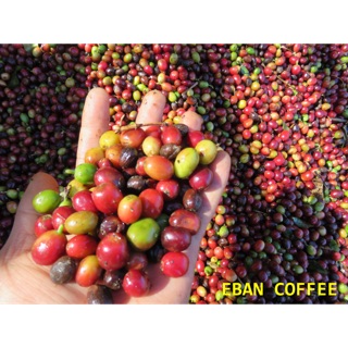 Cà Phê EBAN Đặc Biệt