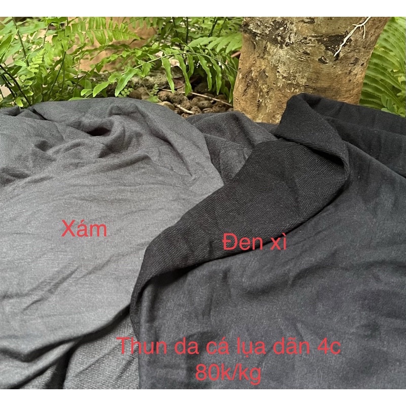 Thun da cá lụa 100% cotton dãn 4 chiều(chất hè)