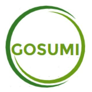 GOSUMI - Bát đĩa decor