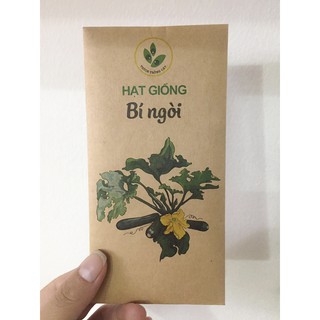 Hạt giống Bí ngòi