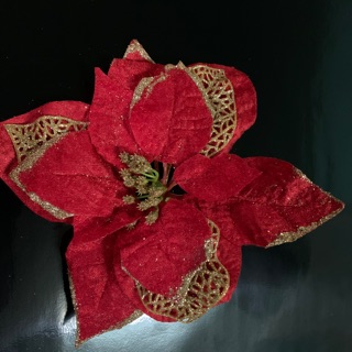 Hoa trạng nguyên trang trí cây thông noel