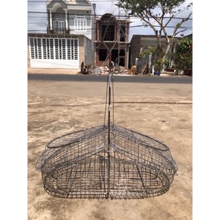 Lụp bẫy inox chim chào mào, choè than